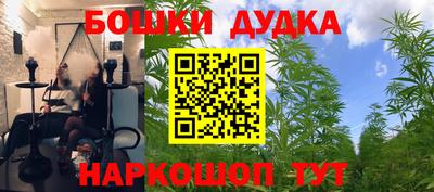 прущий лед Будённовск