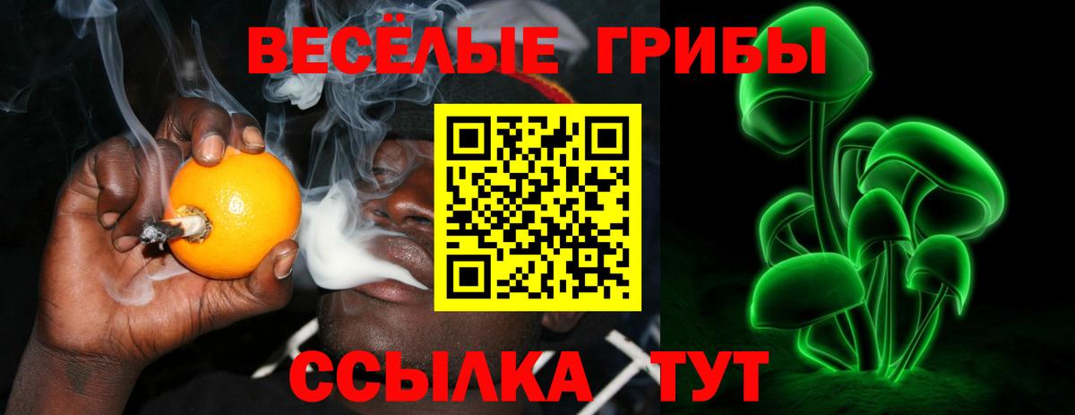 Галлюциногенные грибы Cubensis Североуральск